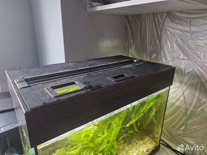Аквариум 60 л + фильтр + грунт