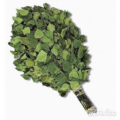 Веники для бани береза