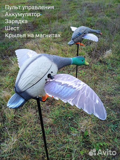 Махокрыл чучела для охоты