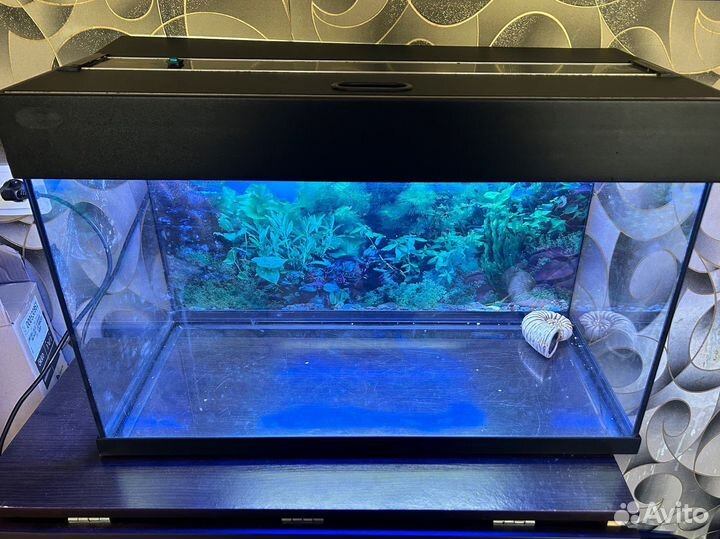 Аквариум