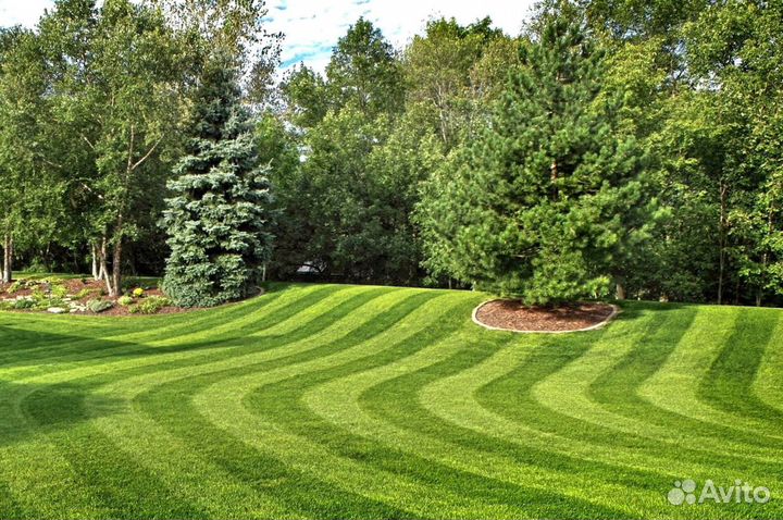 Укладка рулонного газона под ключ, производитель