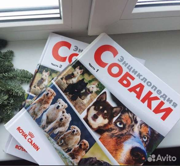 Книги энциклопедии