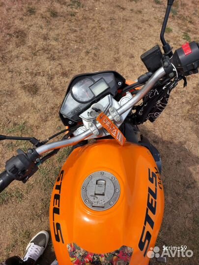 Stels flex 250