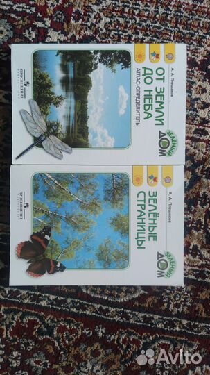 Плешаков зеленые страницы и от земли до неба