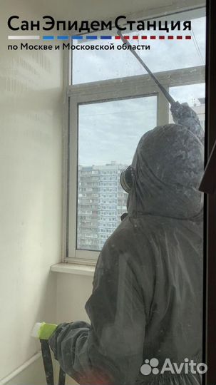 Уничтожение тараканов, клопов, клещей, крыс, ос