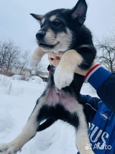 Супер детки