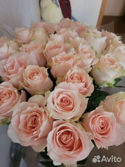 Слушатель, собеседник, подруга на час