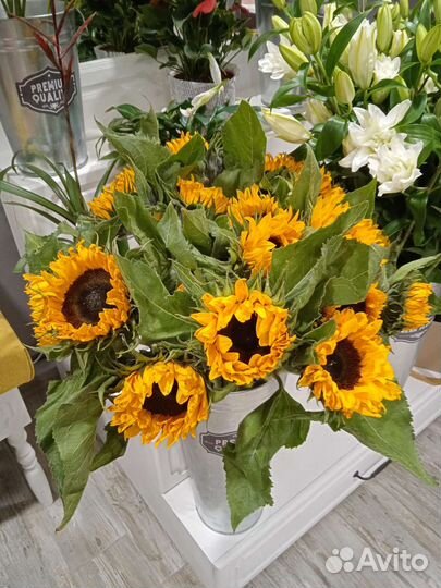 Букет Подсолнухи Цветы Гелиантус