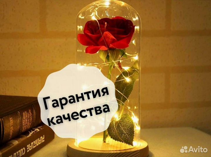 Роза в колбе. Неувядающая