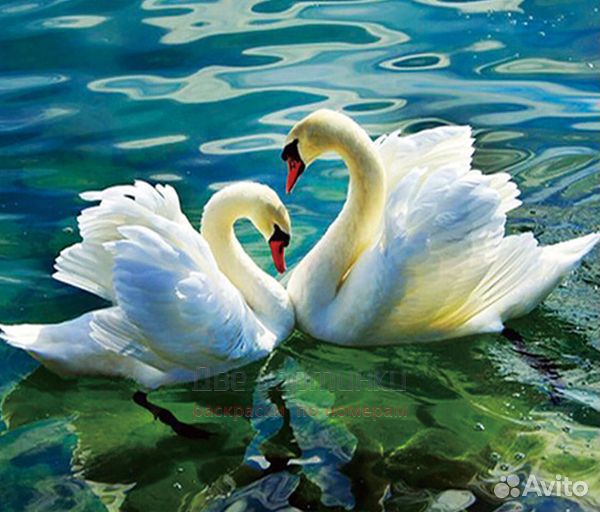 Алмазная мозаика 40x50 Два красивых лебедя на озер