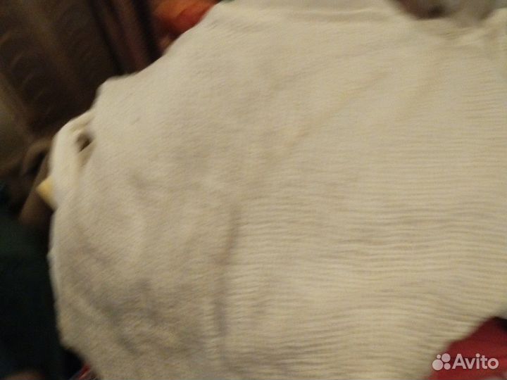 Женская одежда