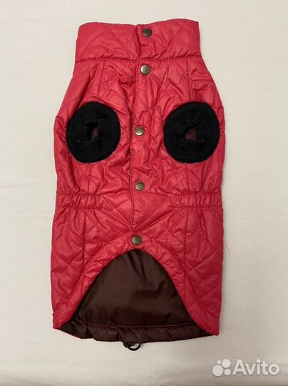 Жакет для собак