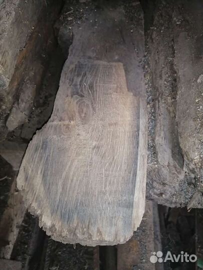 Мореный дуб, древесина для элитной мебели