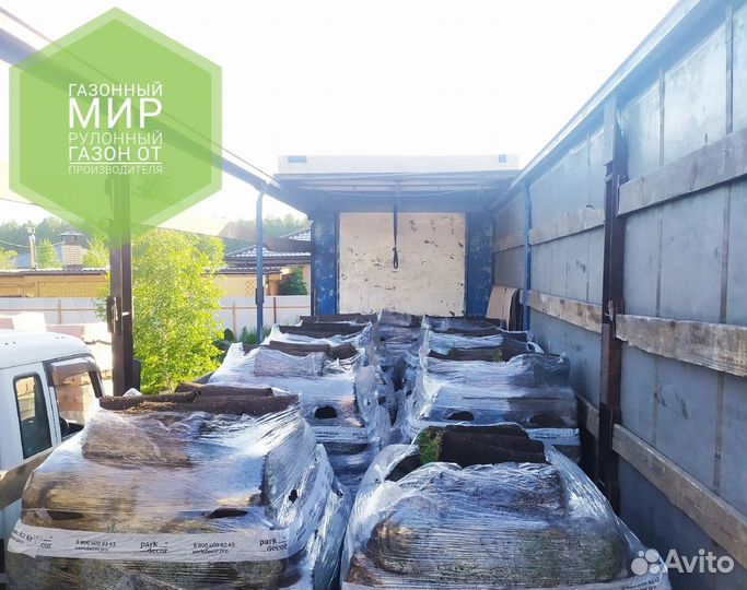 Рулонный газон