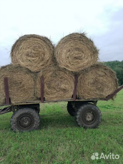 Сено в тюках