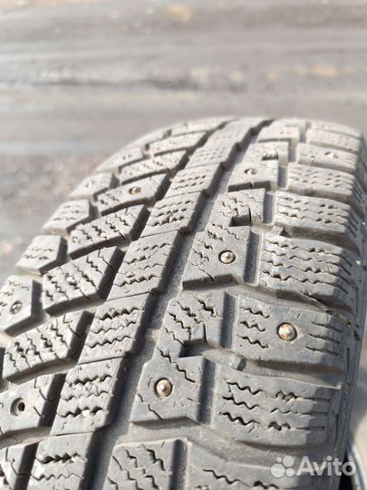 Cordiant Polar 2 195/65 R15