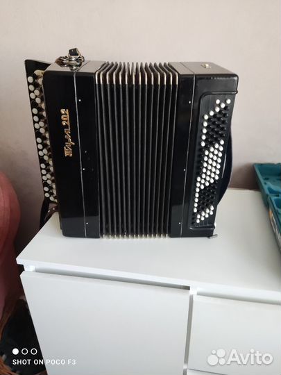 Баян Тула 202