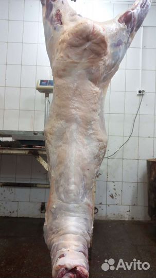 Мясо халяль, говядина, баранина