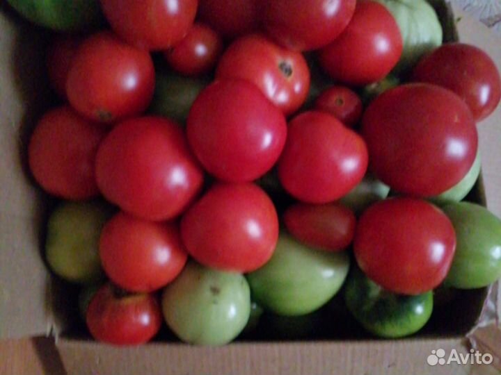 Огурцы помидоры