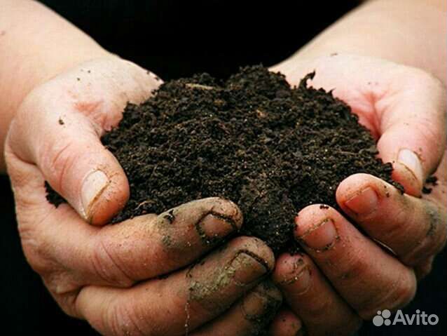Удобрения гумус с червями