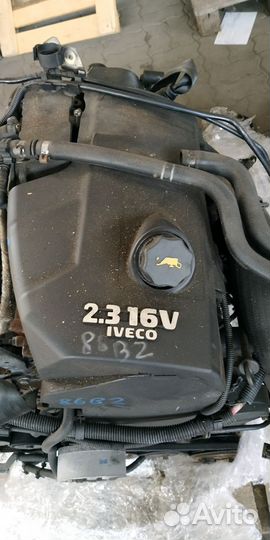 Двс Iveco Daily 2.3 Ивеко Дейли