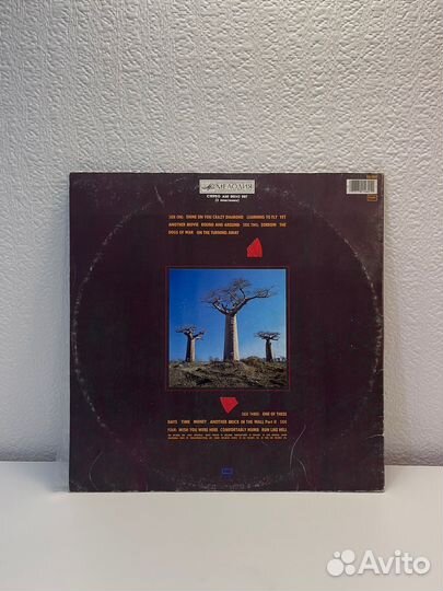 Pink Floyd : «Delicate sound of thunder» live 2LP