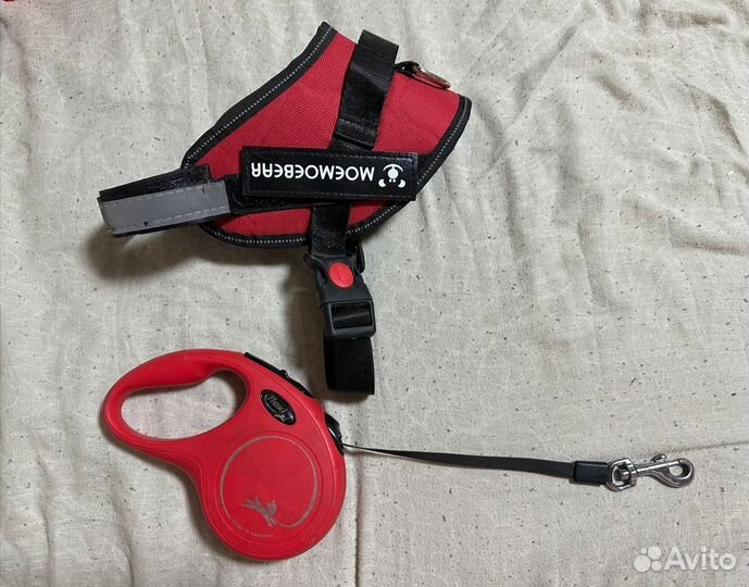 Поводок рулетка flexi + шлейка