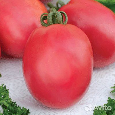 Семена Томатов