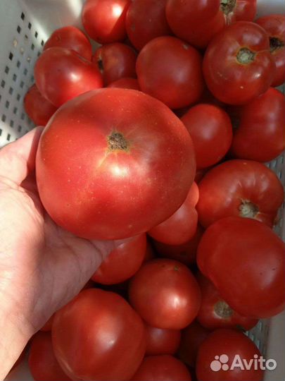 Помидор перец чеснок