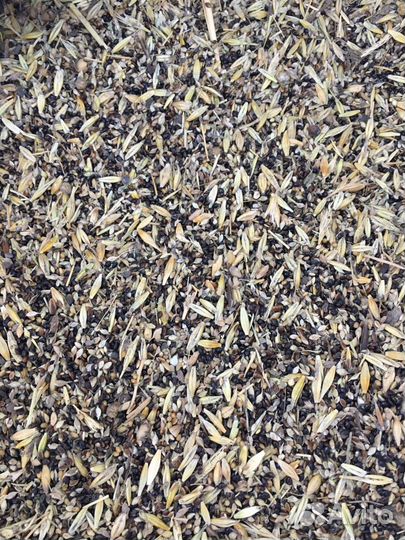 Семя льна Зерносмесь
