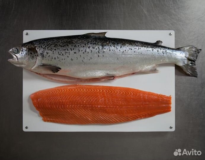 Семга свежемороженая Мурманская