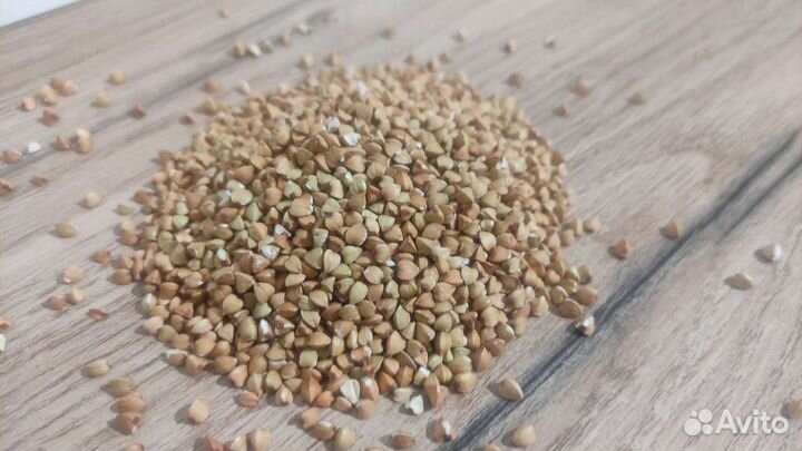 Зеленая гречка