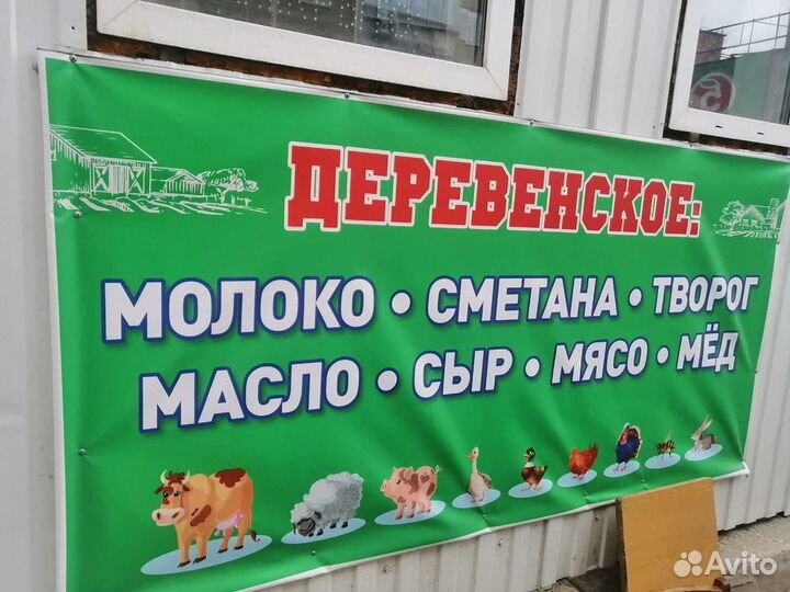 Баран, овца, мясо