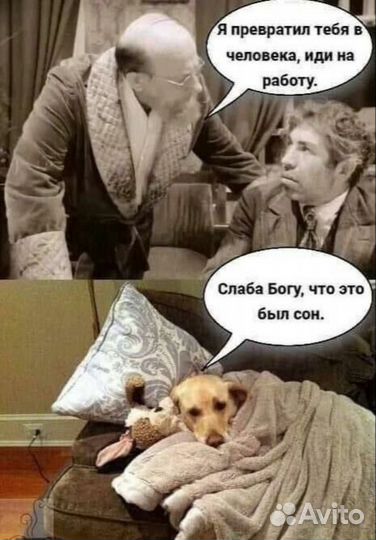 Помощь бизнесу инженера по нейросетям