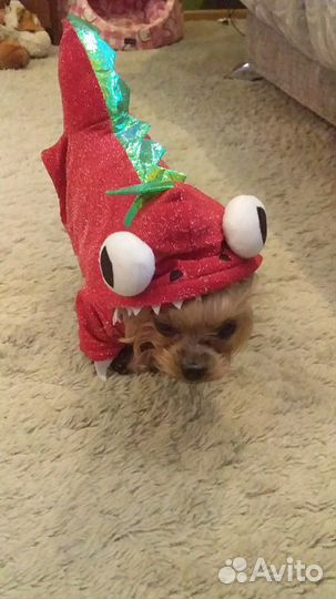 Комбинезон для собачки