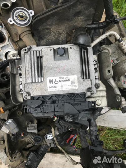 Двигатель qr 25