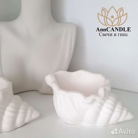 Ракушка из гипса