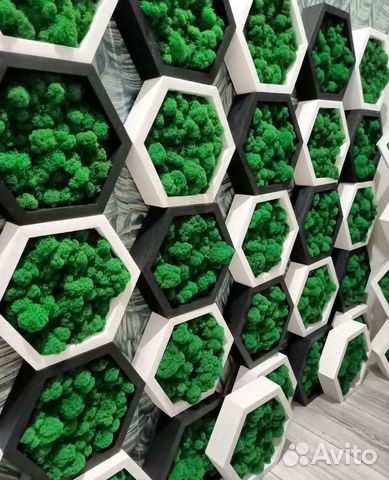 Полки со мхом/ декорация настенная