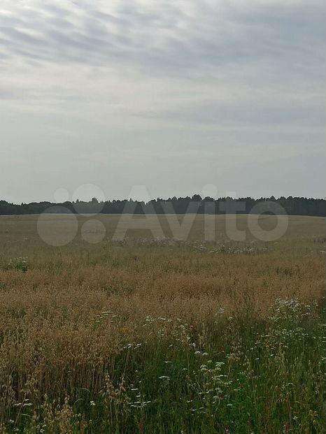 Участок 280 га (СНТ, ДНП)