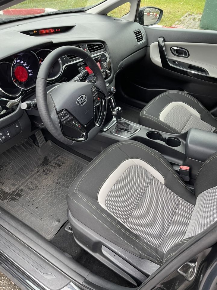 Kia Ceed: фото владельца