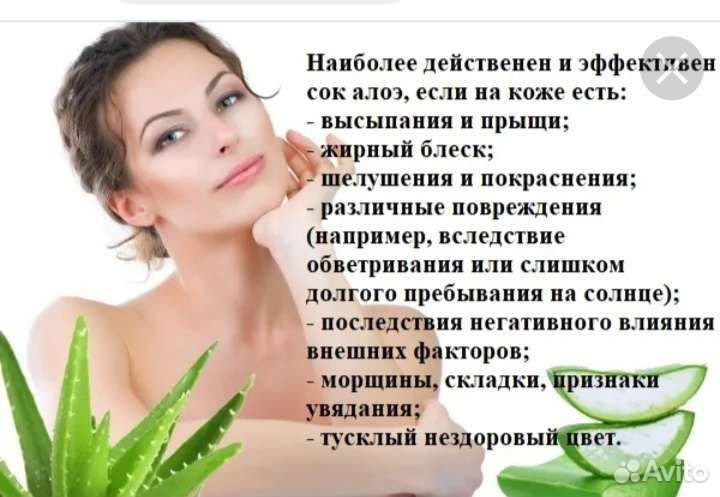 Домашний доктор. алоэ вера