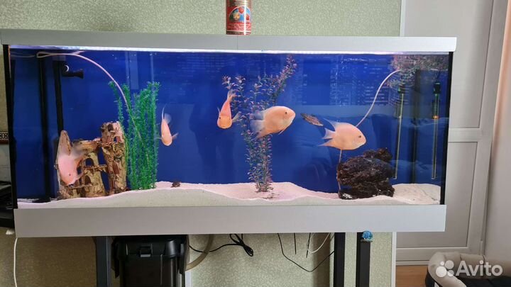 Продам аквариум 315 литров