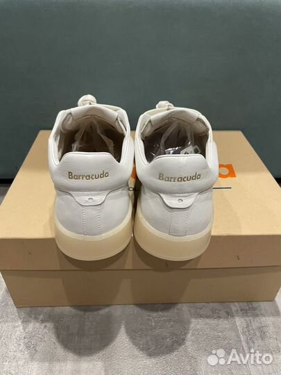 Кеды barracuda
