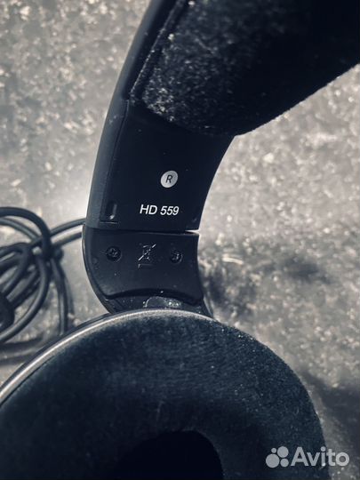 Наушники sennheiser hd559