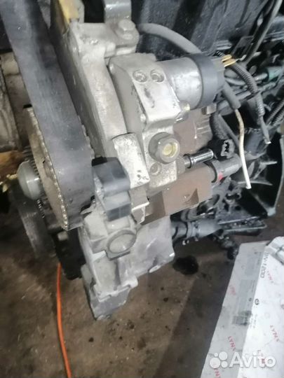 Топливный насос тнвд f9q 1.9