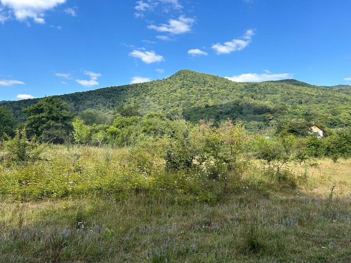 Участок 25 сот. (ИЖС)