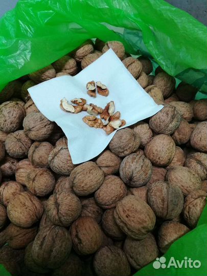 Грецкий орех