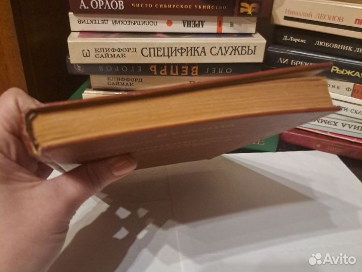 М.Пинаев - Чернышевский