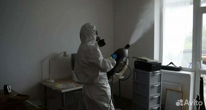 Дезинфекция от тараканов клопов