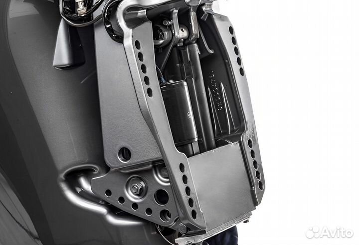 Лодочный мотор Mikatsu (Микатсу) MF90FEL-T-EFI лев